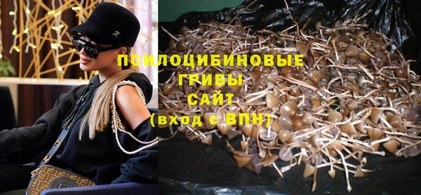 ешки Бугульма