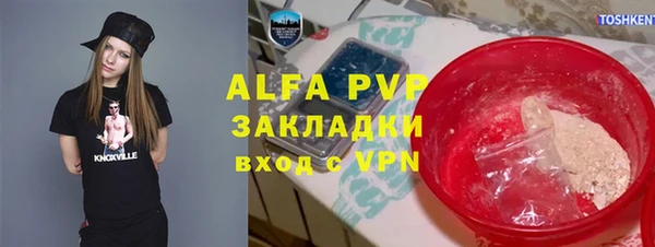 спиды Бородино