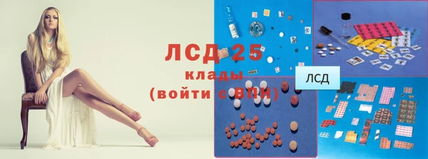 спиды Бородино