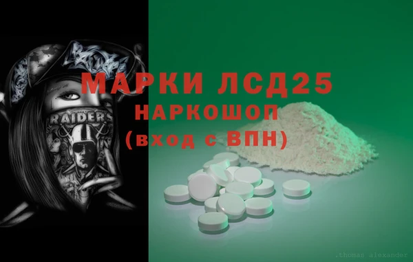 спиды Бородино