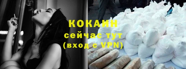 спиды Бородино