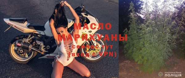 спиды Бородино