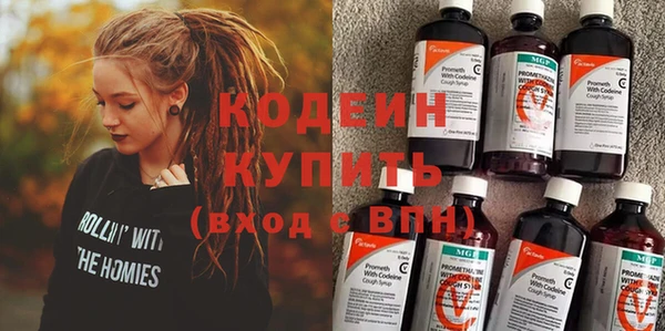 спиды Бородино