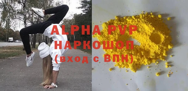 спиды Бородино