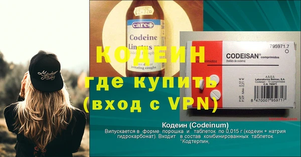 спиды Бородино