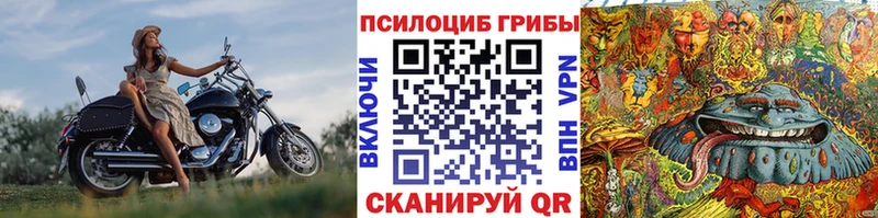 Галлюциногенные грибы Cubensis  купить наркоту  Альметьевск 
